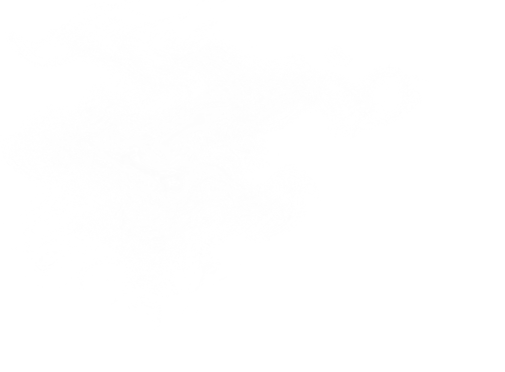 湯気のイメージ